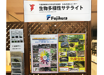 Establishing an Exhibition Space for Biodiversity at the Sakura Works