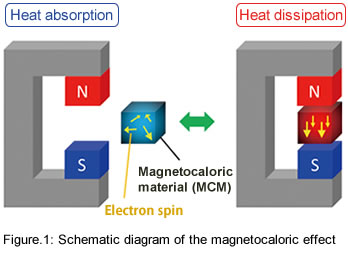 Figure.1 Schematic diagram of the magnetocaloric effect