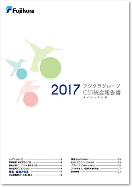  PDF / Japanese 