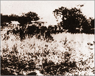 West Exit of Shinjuku Station in around 1887: The plant was located beyond the woods in the left deep position.