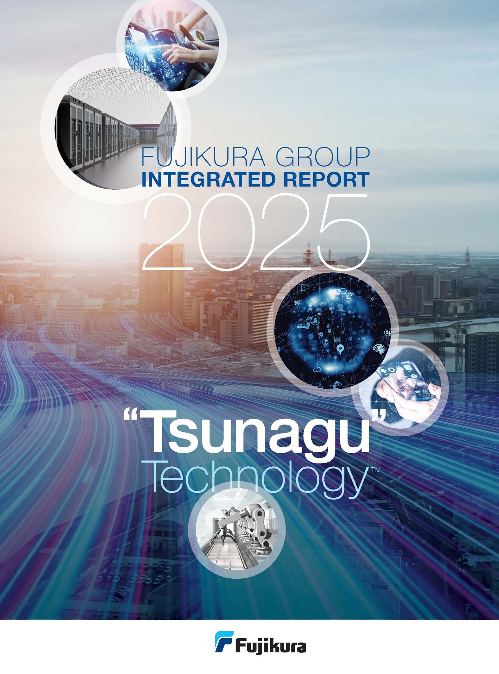 Integrated Report 2024