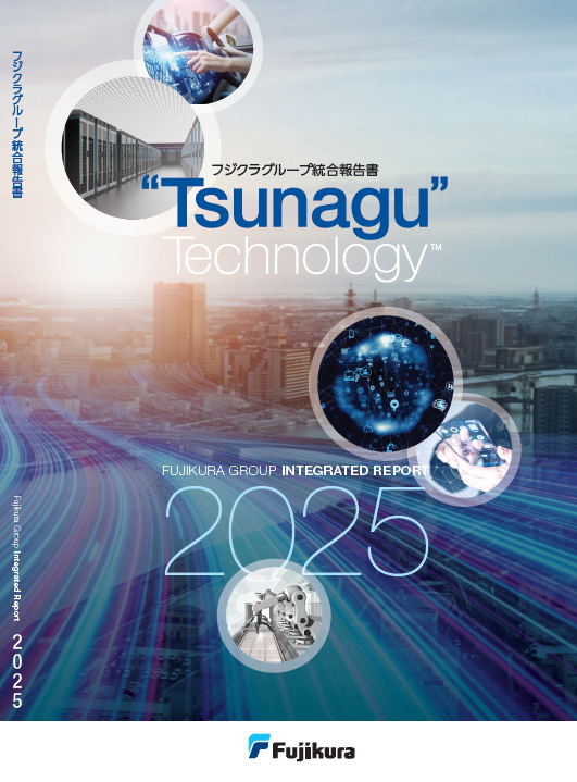 統合報告書2025