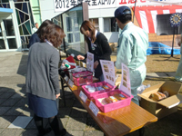 Fair held at the Sakura Plant 