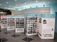 Panel exhibition of photos