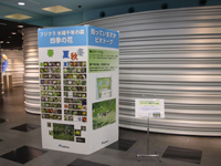 Panel exhibition on creatures living in the Fujikura-Kiba Millennium Woods