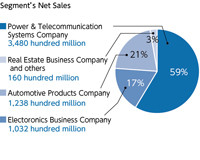 Segment's Net Sales