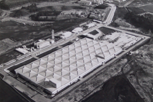 Photo taken when the plant was opened