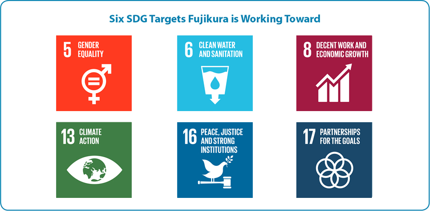Six Sustainable Development Goals (SDGs) the Fujikura Group is Focusing on