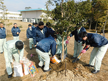 Suzuka Works  planting trees Image1