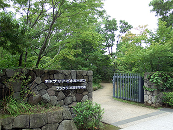 Fujikura Kiba Millennium Woods