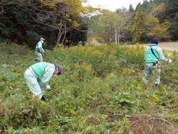 Volunteer Activities Supporting Disaster Stricken Areas in Minamisoma image1