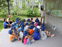 地元小学校の自然教育