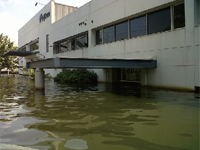 2011年10月、タイ国の大洪水でタイ国にあった当社グループ11拠点のうち9拠点が水没しました。